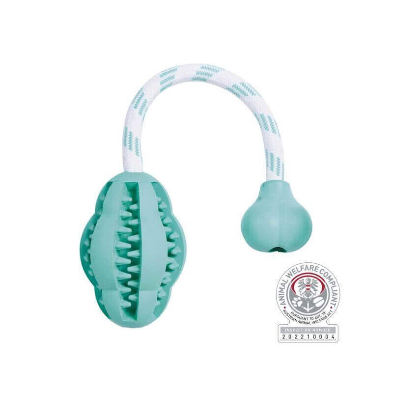 Denta Fun sauteur/corde, menthe, en caout. natur., 8 cm/28 cm Denta Fun sauteur/corde, menthe, en caout. natur., 8 cm/28 cm