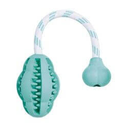 Denta Fun sauteur/corde, menthe, en caout. natur., 8 cm/28 cm