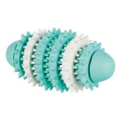 Denta Fun Rugby, menthe, en caoutchouc naturel, 15 cm