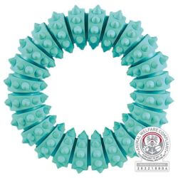Denta Fun anneau, menthe, en caoutchouc naturel, ø 12 cm