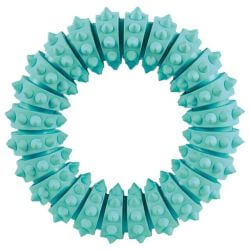 Denta Fun anneau, menthe, en caoutchouc naturel, ø 12 cm