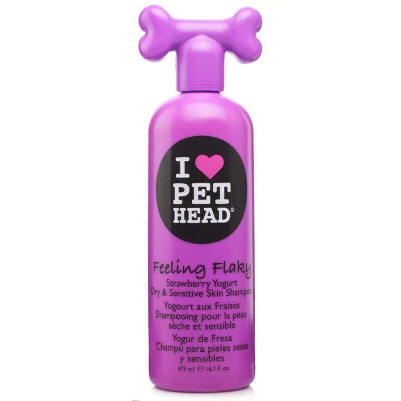 Shampooing Pet Head Feeling Flaky Shampooing Pet Head Feeling Flaky