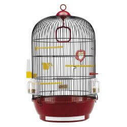 Cage DIVA