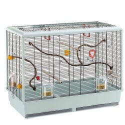 Cage PIANO 6