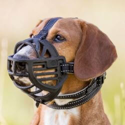 Muselière Muzzle Flex, en caoutchouc, L–XL, noir