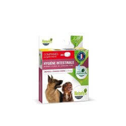 Comprimés hygiène intestinale moyen/grand chien
