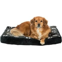 Coussin Jimmy, angulaire, 80 × 55 cm, noir