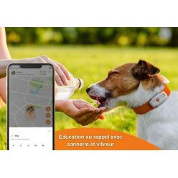 Collier GPS chien Weenect XS