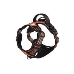 HARNAIS COMFORT PRIME XL ORANGE