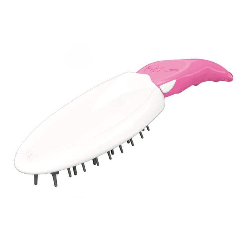 Brosse Massage Intense Brosse Massage Intense
