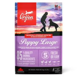 Orijen Puppy Large 6 kg