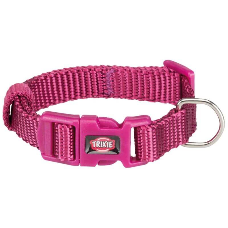 Premium collier, XXS–XS: 15–25 cm/10 mm, orchidée