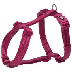 Premium harnais H, M–L: 52–75 cm/20 mm, orchidée