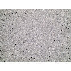 LITIERE CHAT BENTONITE CHARBON 12kg