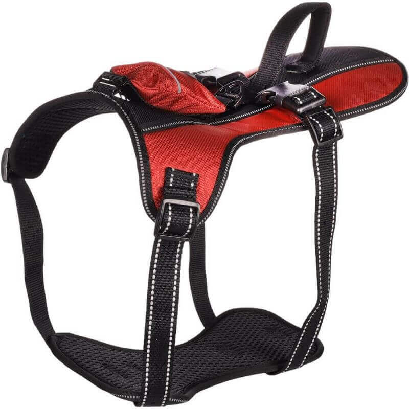 HARNAIS KELSO ROUGE XL 54-84CM 25MM