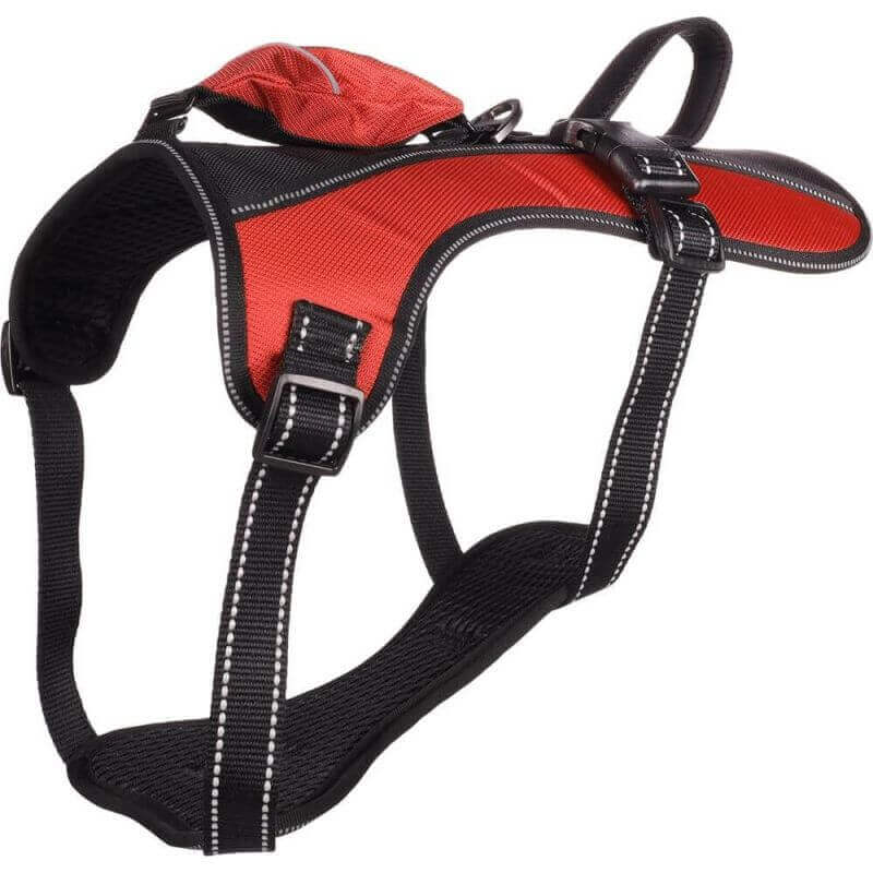 HARNAIS KELSO ROUGE XXL 68-106CM 25MM HARNAIS KELSO ROUGE XXL 68-106CM 25MM