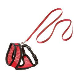 HARMS SET HARNAIS CHAT RG/NO 110CM10MM