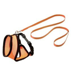 HARMS SET HARNAIS CHATON OR/NO 110CM10MM