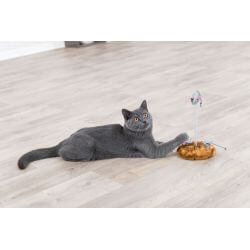 Souris sur ressort spiral, en peluche, catnip, ø 15 × 22 cm