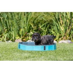 Piscine pour chien 160 x h30 cm