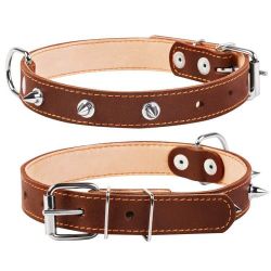 COLLIER CUIR CLOU 25MM 38/50 MARRON