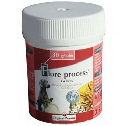 Flore Process Chien