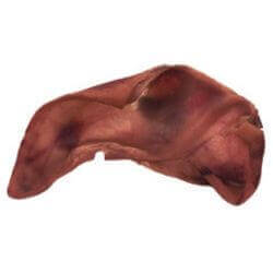 Arquivet Oreille de porc géante