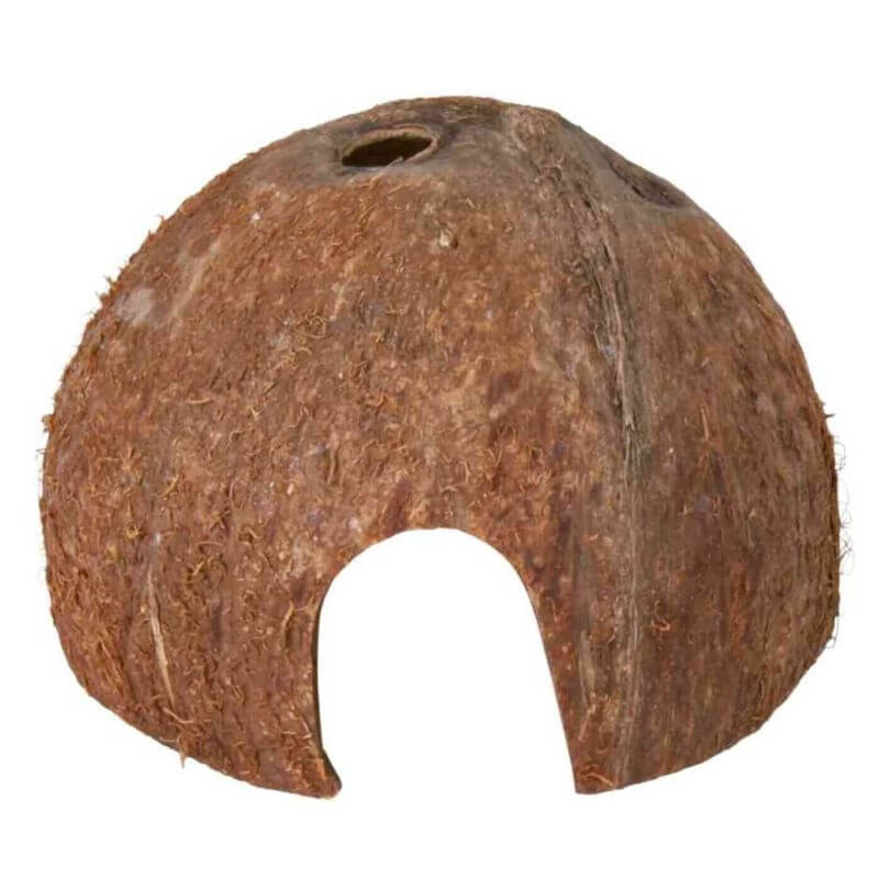 Set de 3 noix de coco demi-coque, ø 8/10/12 cm