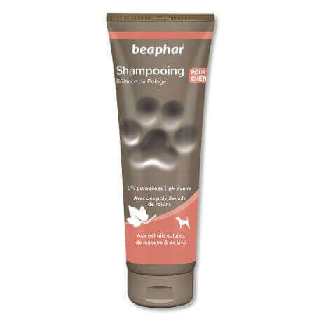 Shampooing Premium Empreinte Brillance du pelage pour chien - 250 ml