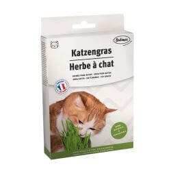 HERBE A CHAT 100G A BROCHER