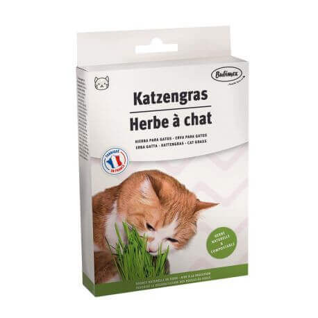HERBE A CHAT 100G A BROCHER HERBE A CHAT 100G A BROCHER