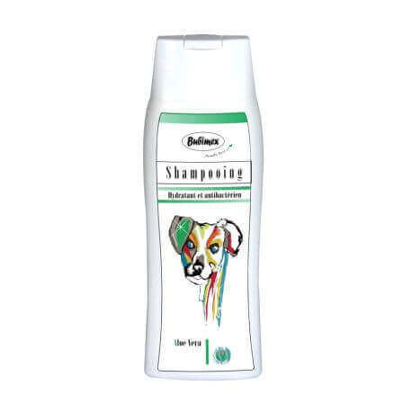 SHAMPOING HYDRATANT A L'ALOE VERA 250ML BUB