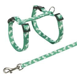 Harnais chat avec laisse, motif crâne, 27–45 cm/10 mm, 1,20 m