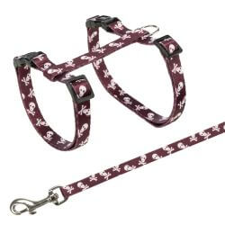 Harnais chat avec laisse, motif crâne, 27–45 cm/10 mm, 1,20 m
