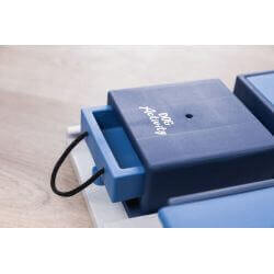 Dog Activity jeu de stratégie Poker Box 1, 31 × 31 cm