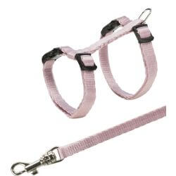 Junior harnais chaton avec laisse, 19–31 cm/8 mm, 1,20 m