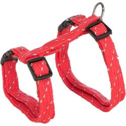 Harnais avec laisse, réfléchissant, 27–45 cm/10 mm, 1,30 m