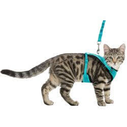 Harnais Y en maille, chat, avec laisse élastique, 39–60 cm/10 mm, 1,00 m