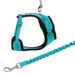 Harnais Y en maille, chat, avec laisse élastique, 39–60 cm/10 mm, 1,00 m