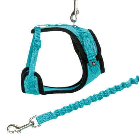 Harnais Y en maille, chat, avec laisse élastique, 39–60 cm/10 mm, 1,00 m Harnais Y en maille, chat, avec laisse élastique, 39–60 cm/10 mm, 1,00 m