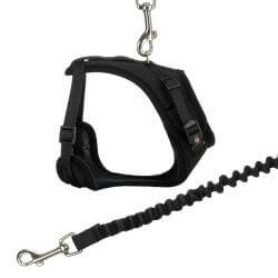 Harnais Y en maille, chat, avec laisse élastique, 39–60 cm/10 mm, 1,00 m