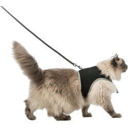 Harnais doux chats, avec laisse, XXL, 36–54 cm, 1,20 m, noir
