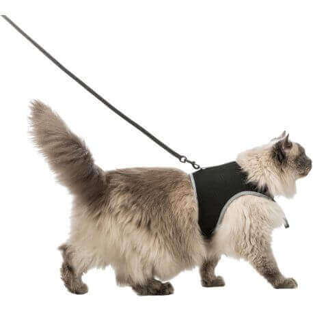 Harnais doux chats, avec laisse, XXL, 36–54 cm, 1,20 m, noir