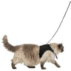 Harnais doux chats, avec laisse, XXL, 36–54 cm, 1,20 m, noir