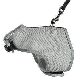 Harnais doux, chats, avec laisse, 24–42 cm, 1,20 m