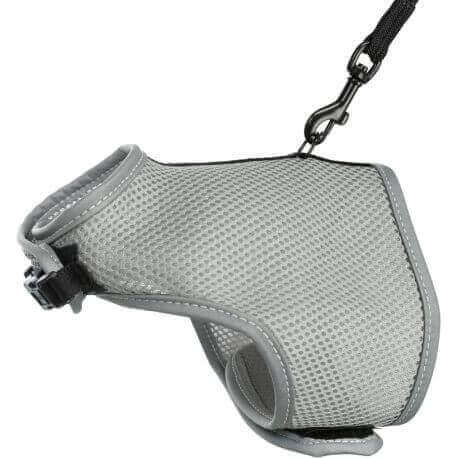 Harnais doux, chats, avec laisse, 24–42 cm, 1,20 m