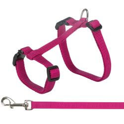 Harnais chat avec laisse XXL, 34–57 cm/13 mm, 1,20 m