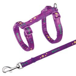 Harnais chat avec laisse, bande motif arête, 23–39 cm/10 mm, 1,20 m