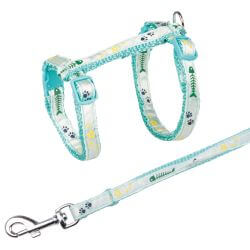 Harnais chat avec laisse, bande motif arête, 23–39 cm/10 mm, 1,20 m