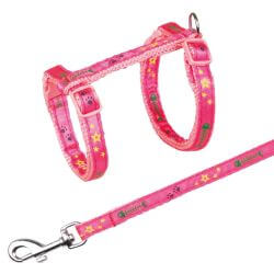 Harnais chat avec laisse, bande motif arête, 23–39 cm/10 mm, 1,20 m